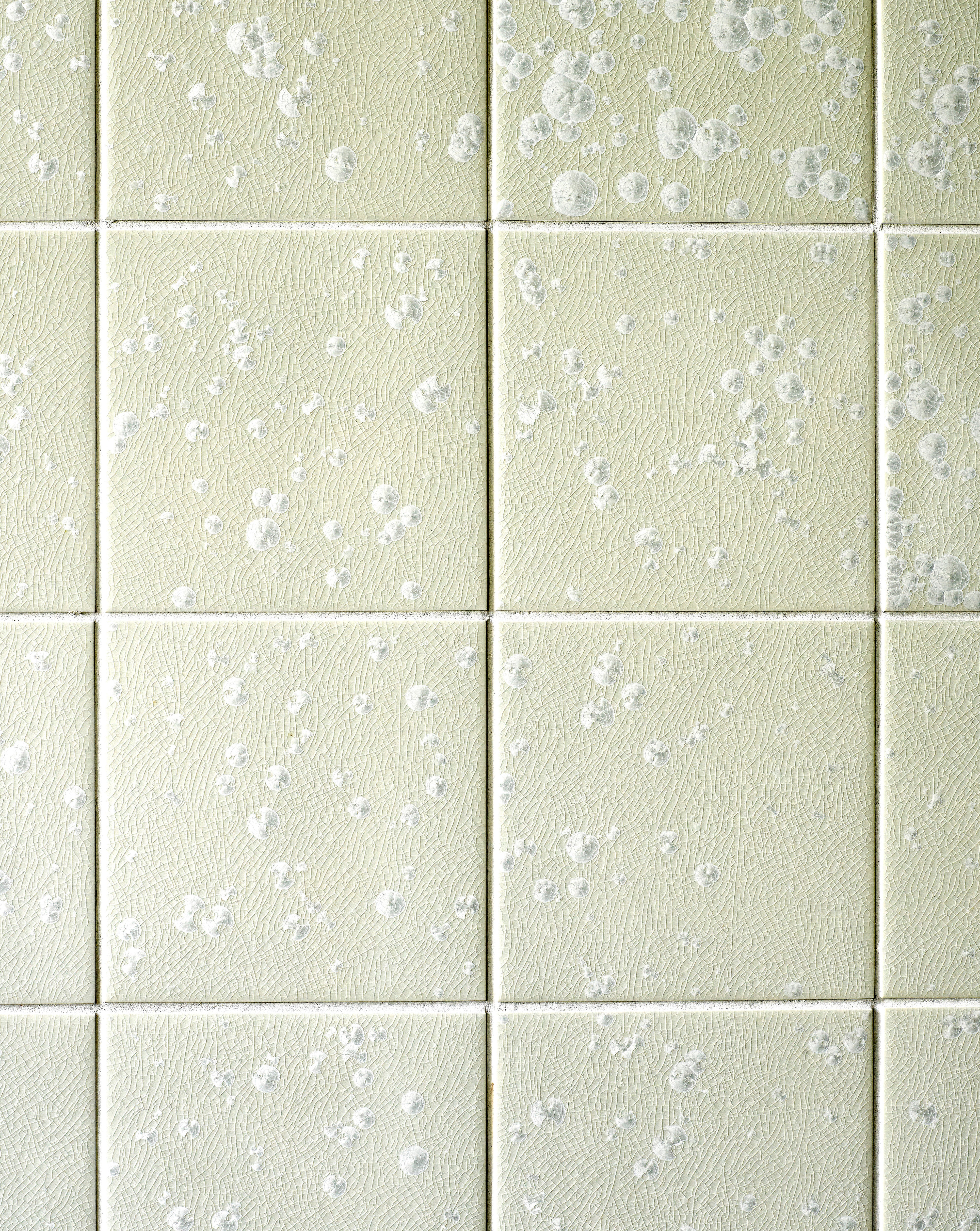 Mycelium – A.a. Danto