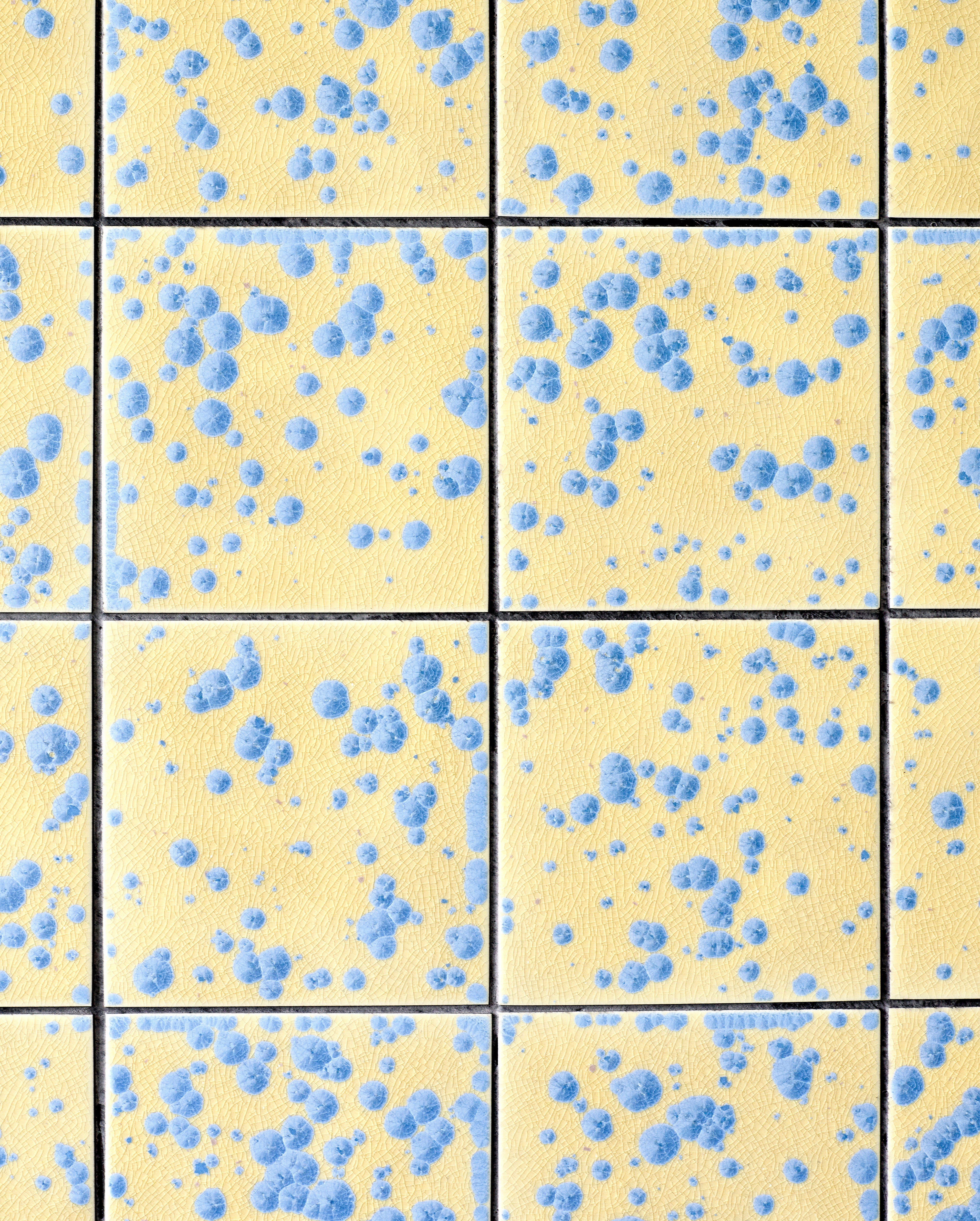 Mycelium – A.a. Danto