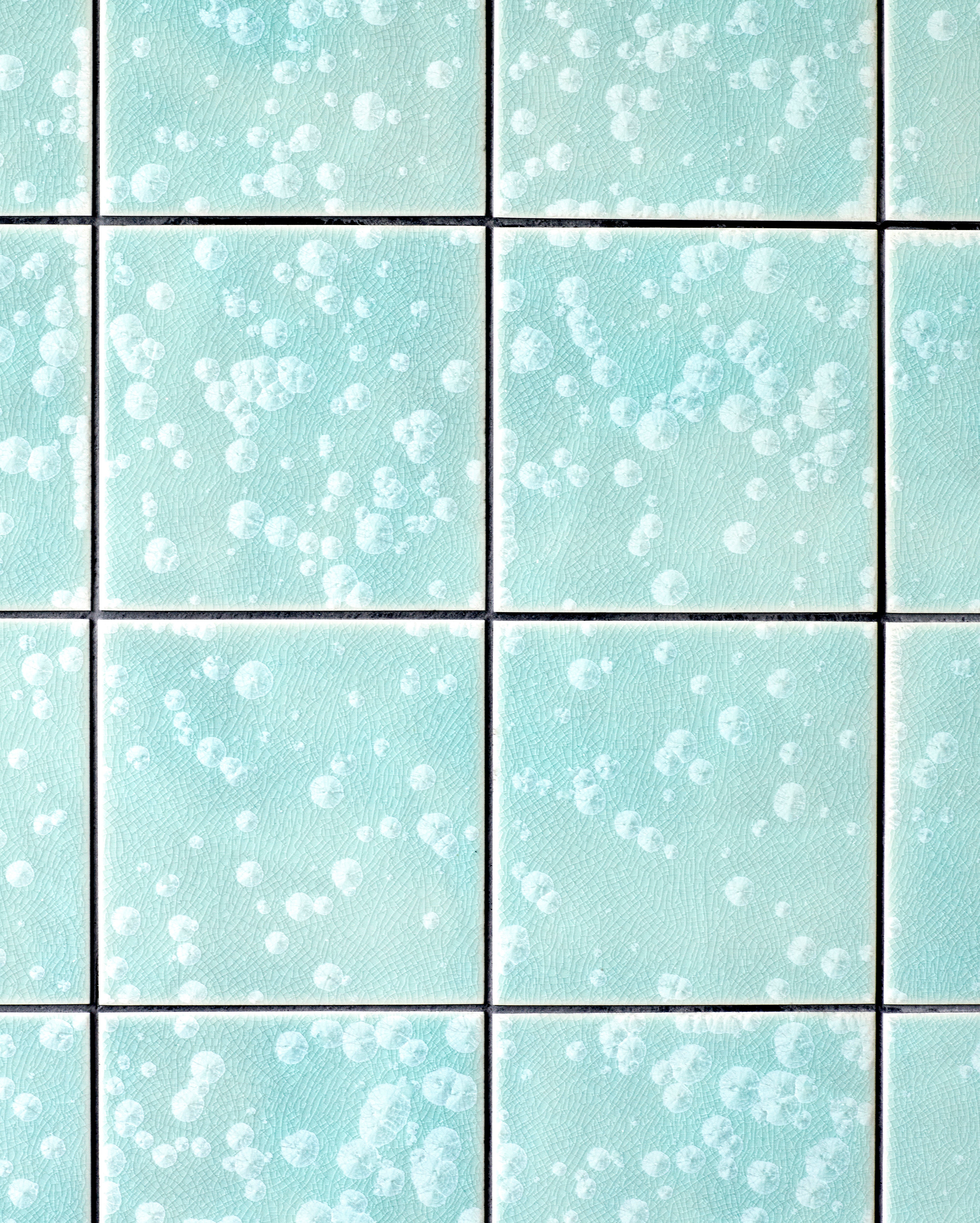 Mycelium – A.a. Danto