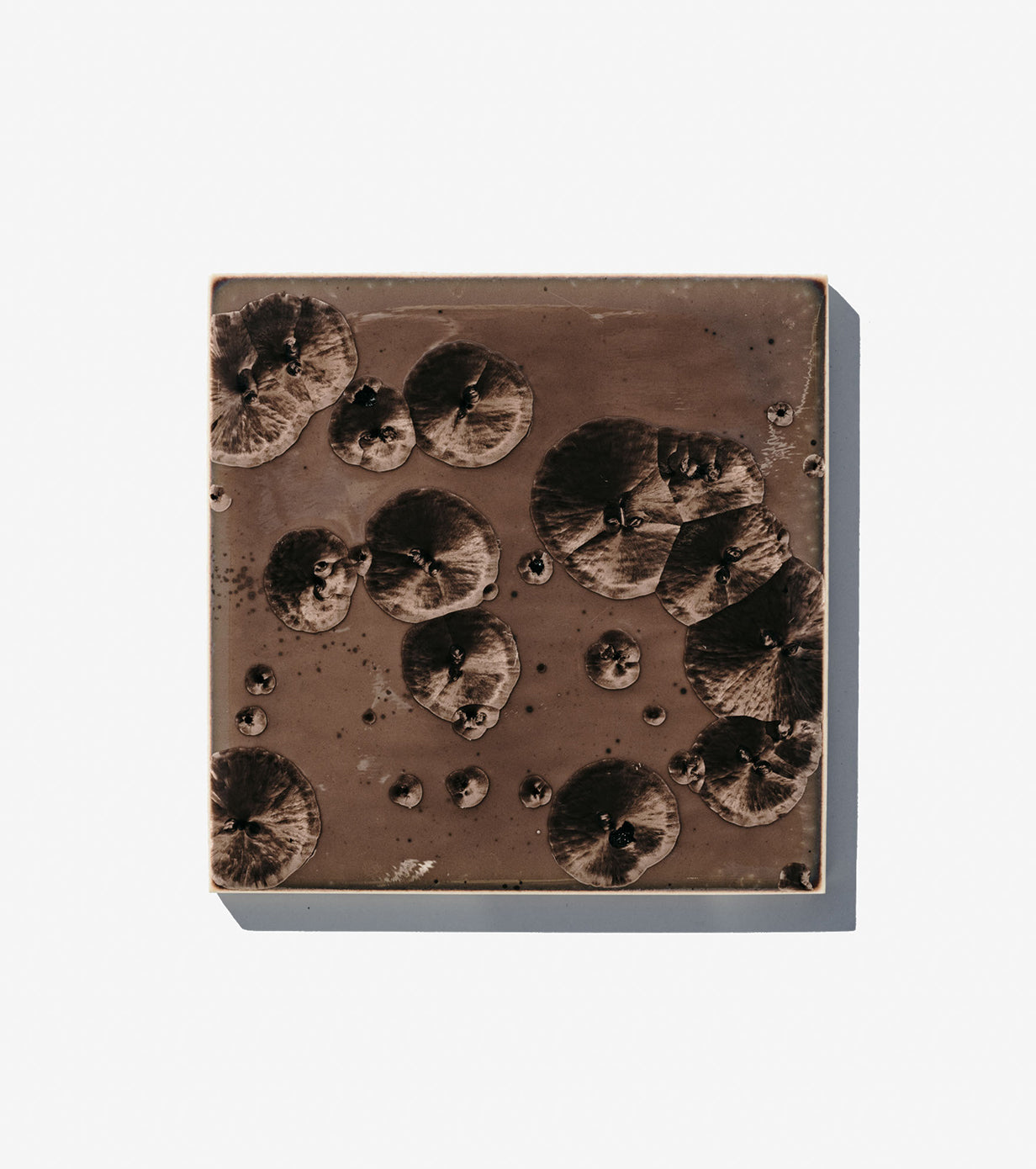 Mycelium – A.a. Danto